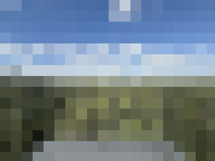  / #16