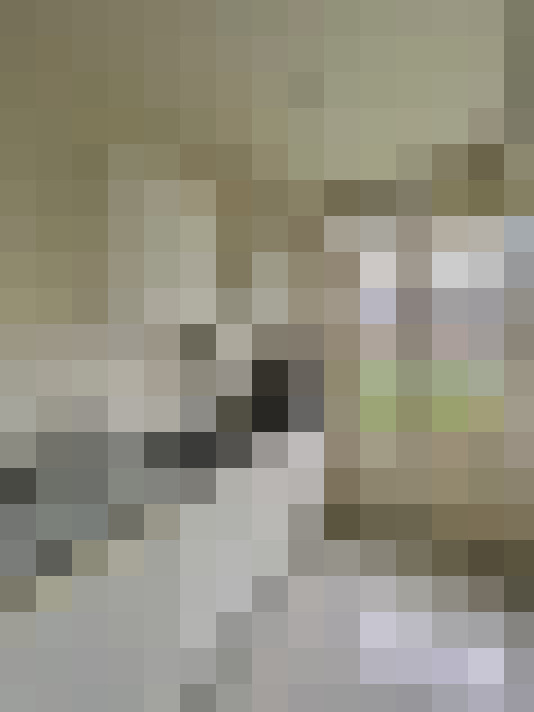 / #11