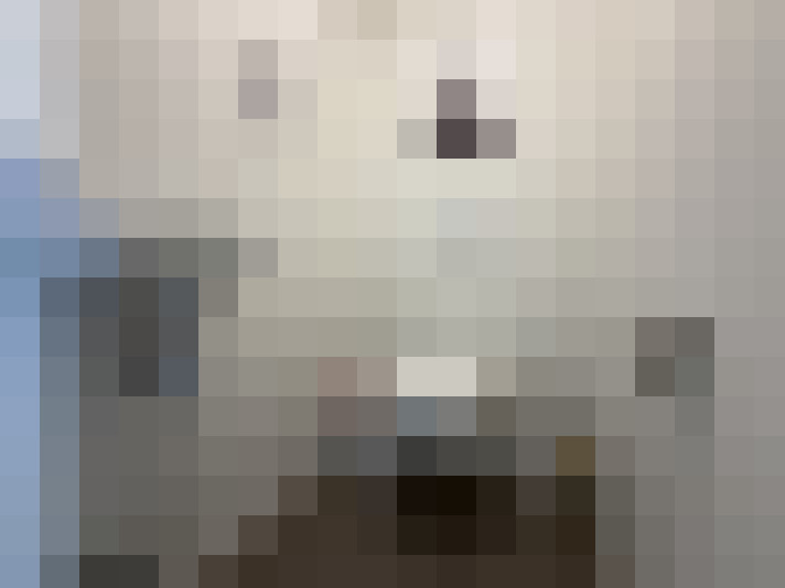  / #11