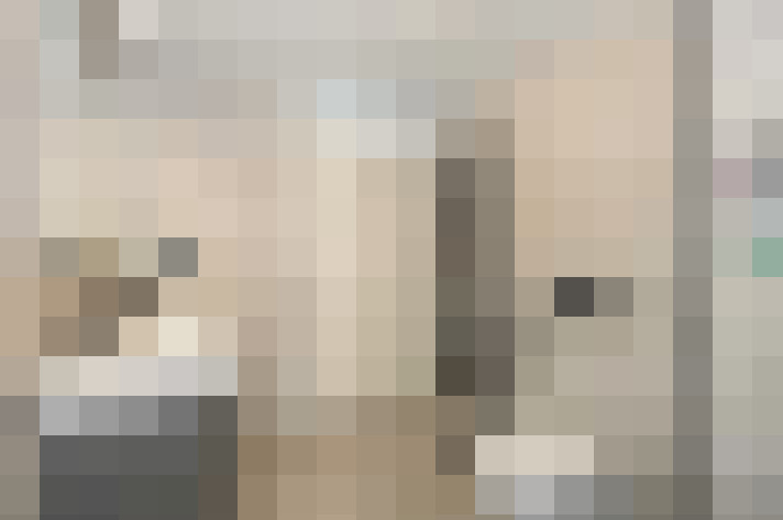  / #19