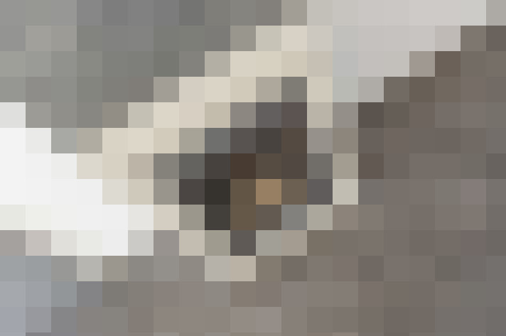  / #12