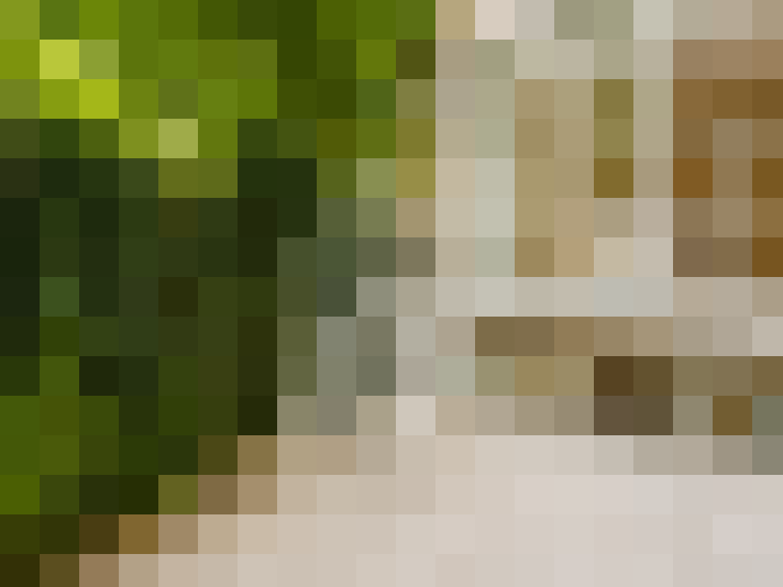  / #16