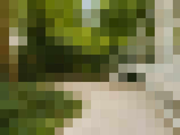  / #15