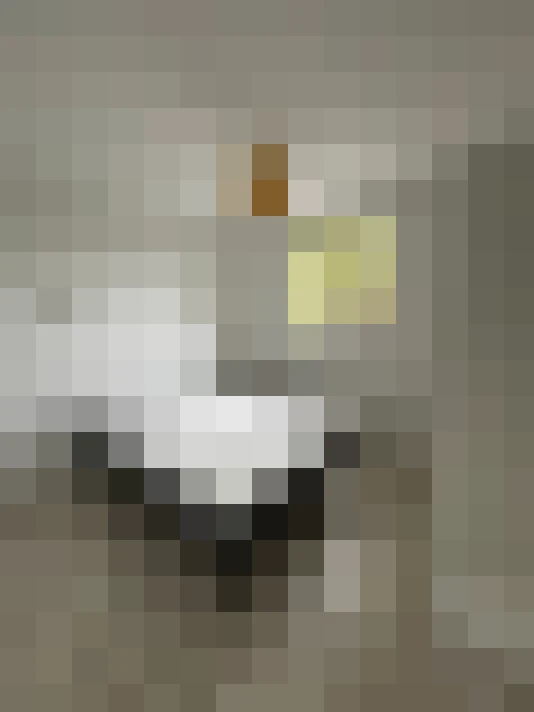 / #12