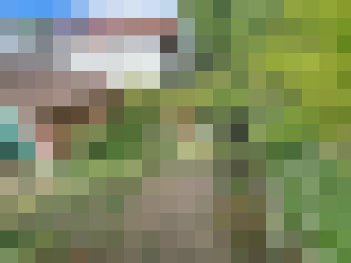 / #11