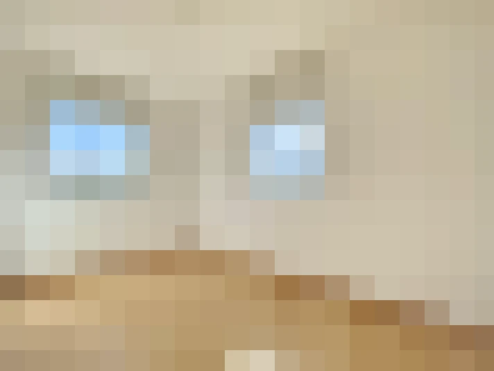  / #13