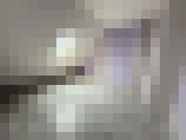  / #8