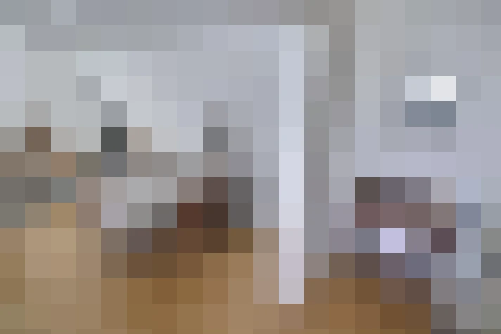  / #6