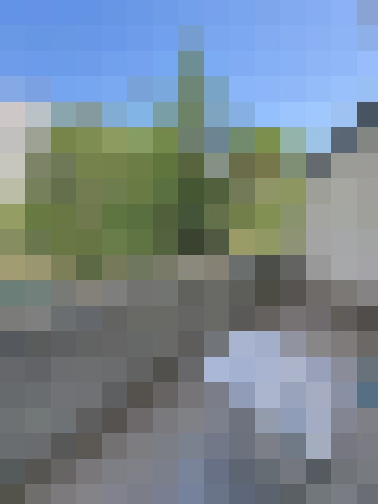  / #11