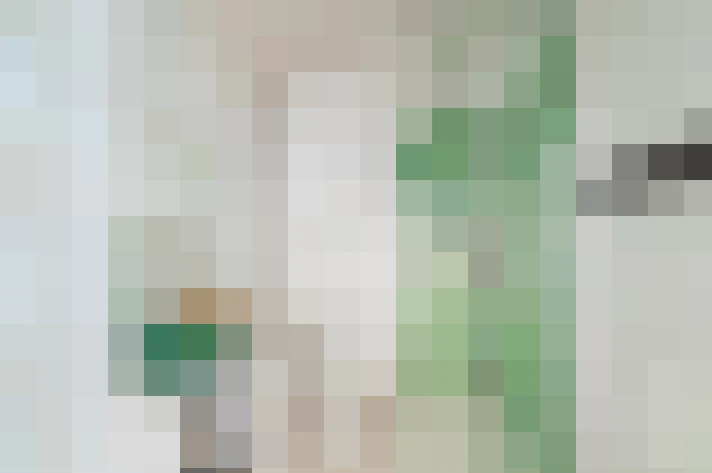  / #7