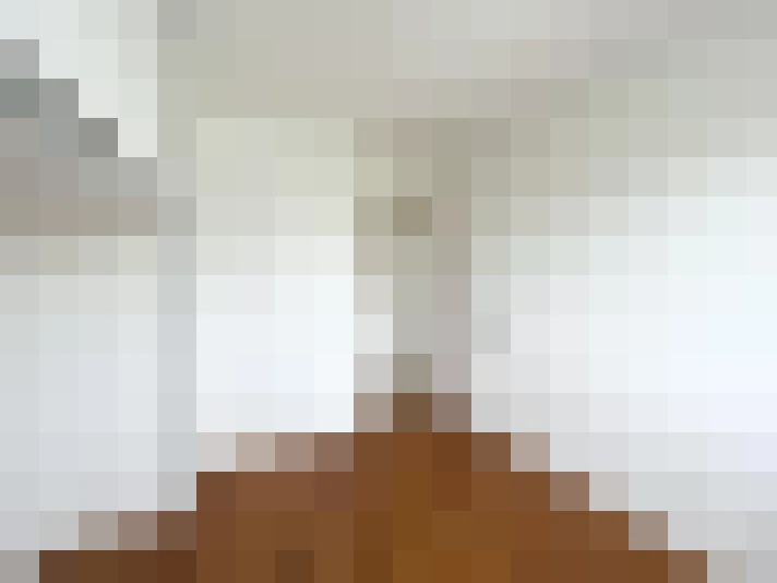  / #7