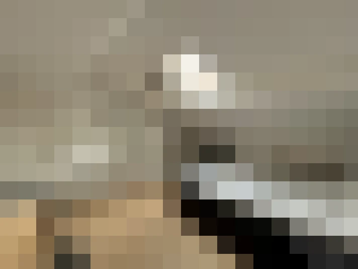 / #14