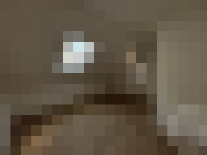  / #6