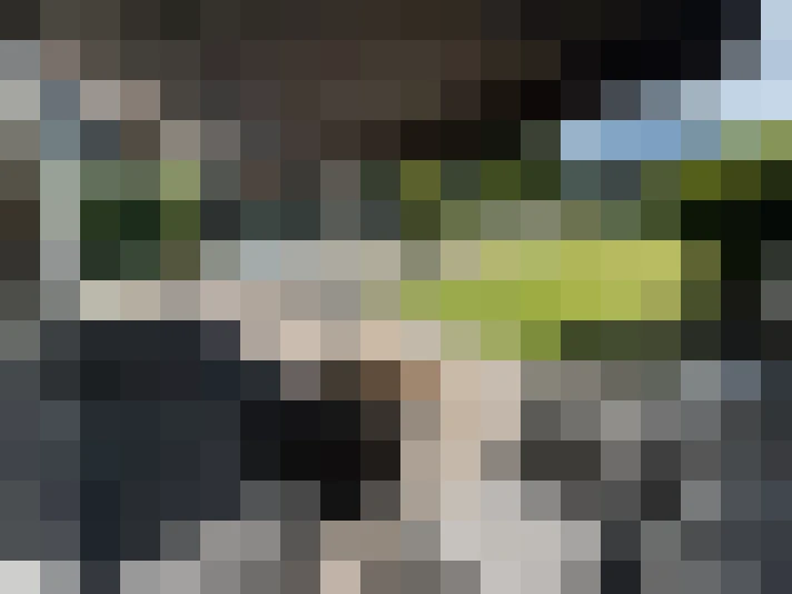  / #15