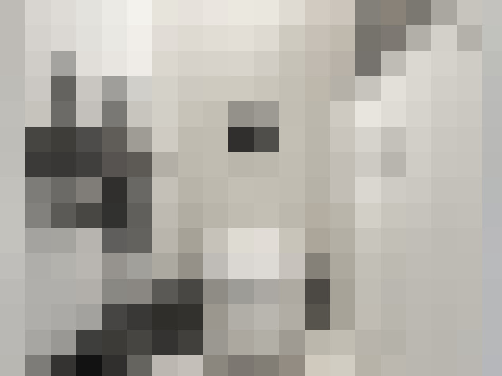  / #13