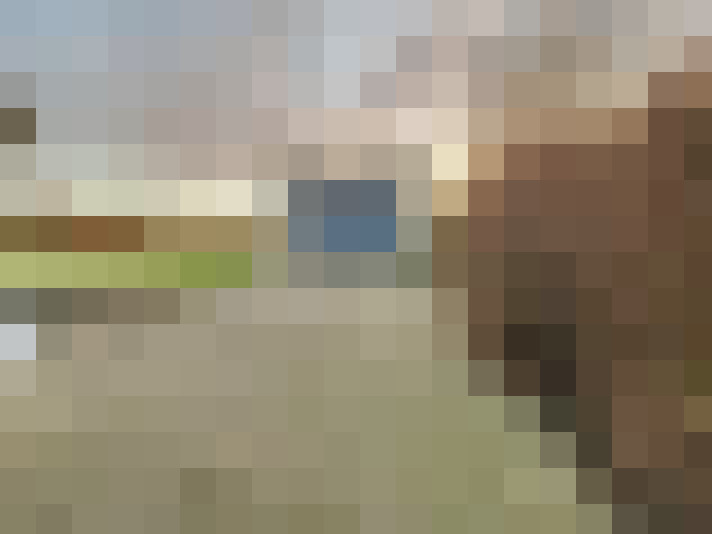  / #18