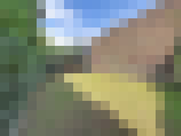  / #17