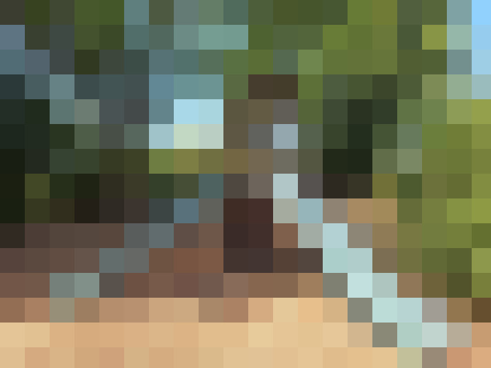  / #14