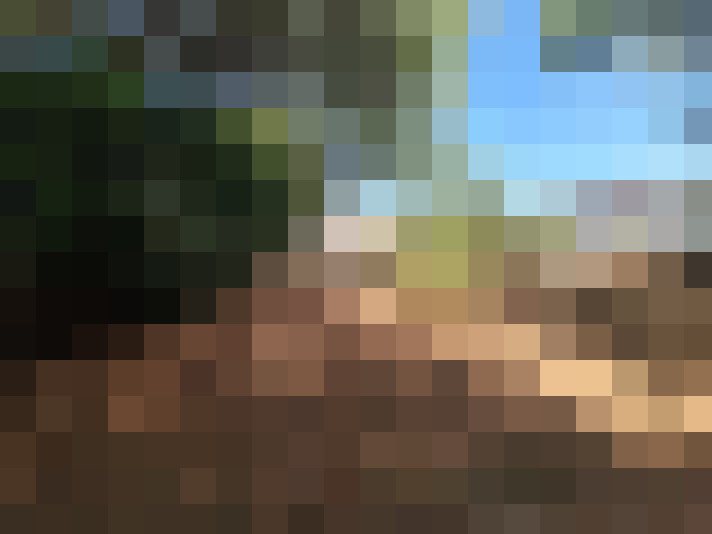  / #16