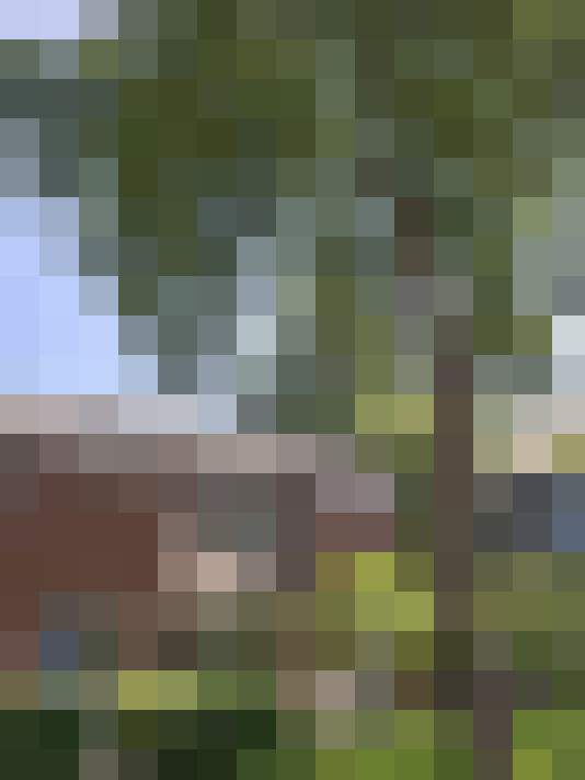  / #14