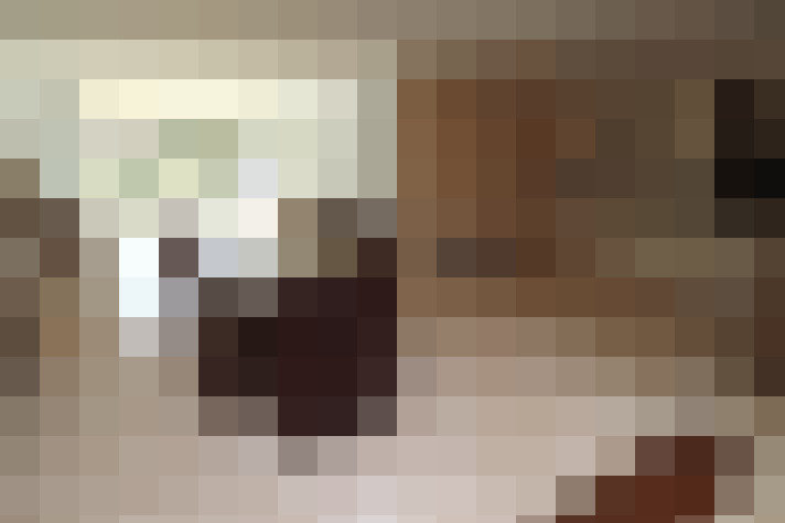  / #19