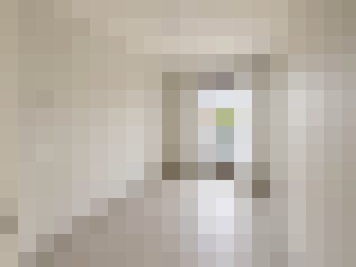  / #15