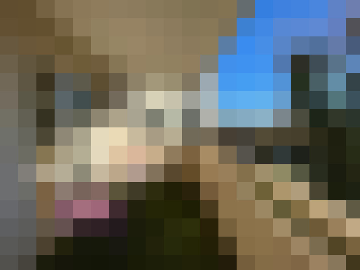  / #7