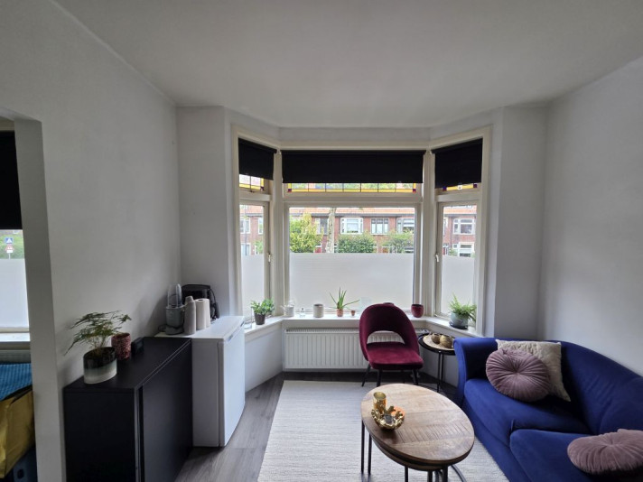 Bekijk foto 1/6 van apartment in Leiden