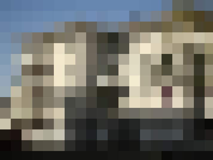  / #9