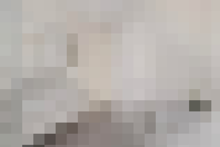  / #17