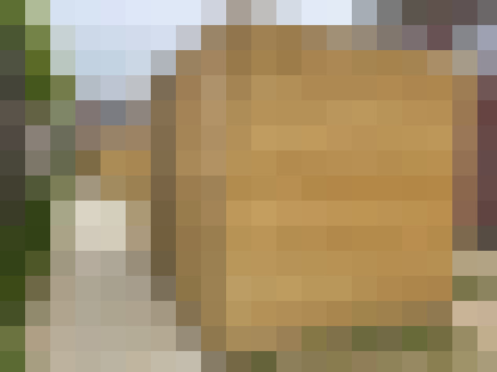  / #19