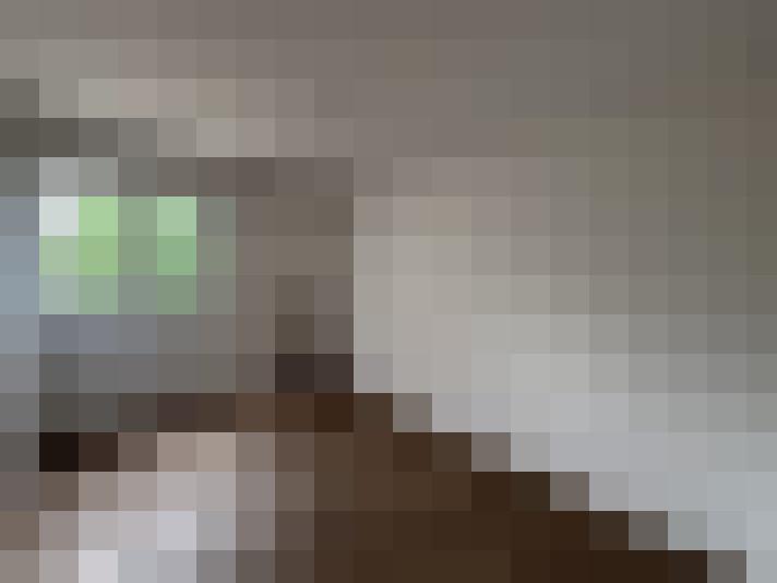  / #6