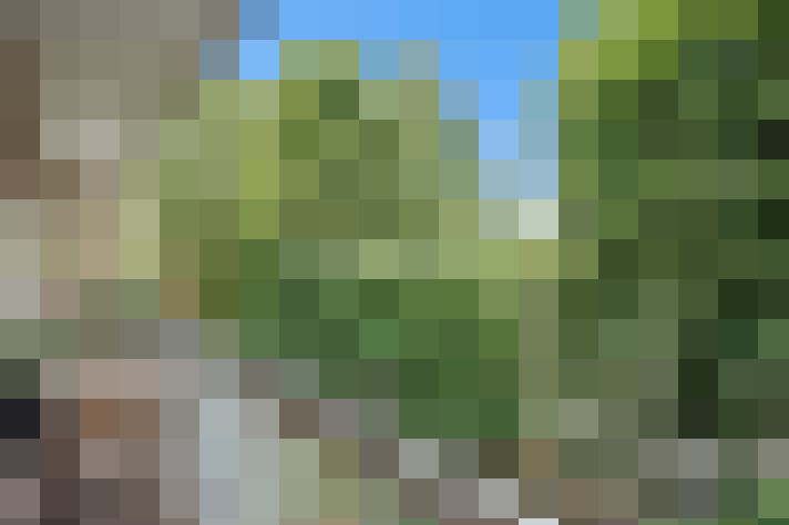  / #12