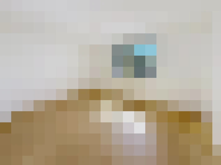  / #11