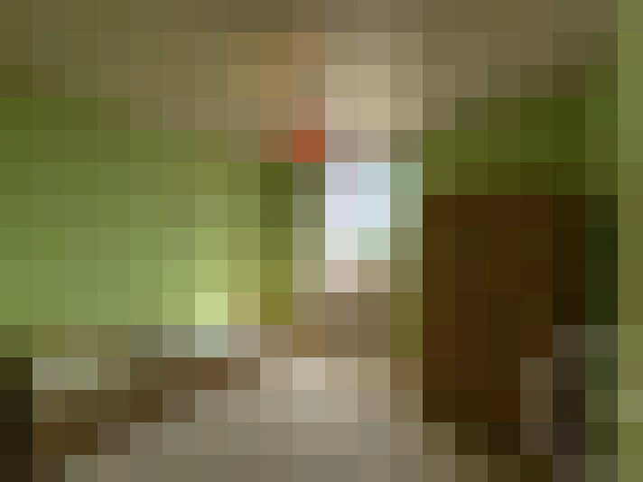  / #7