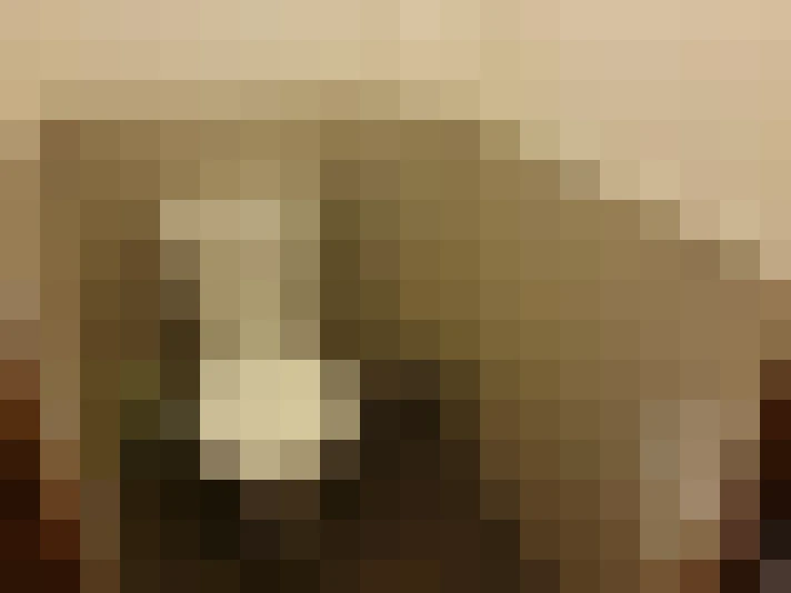  / #17