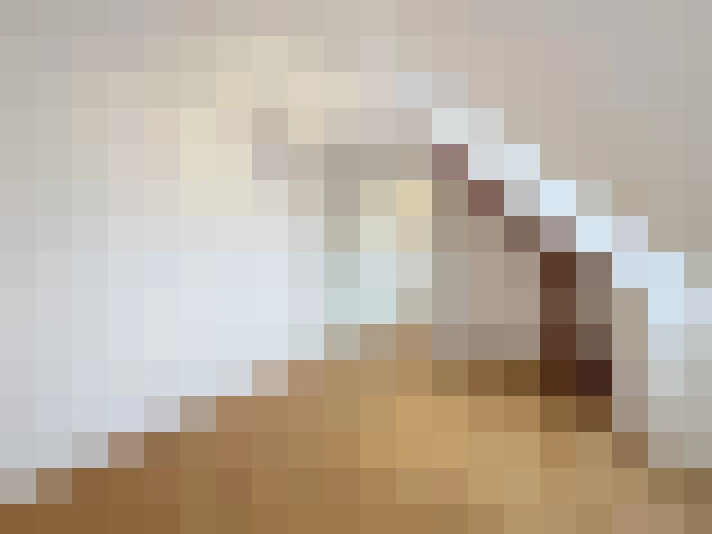  / #17