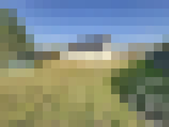  / #16