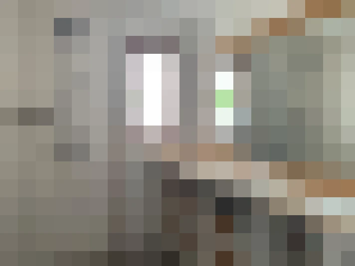  / #15