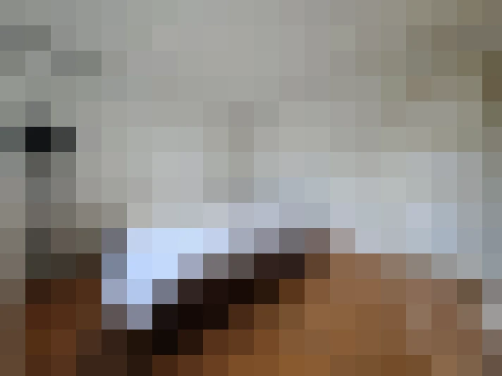  / #16