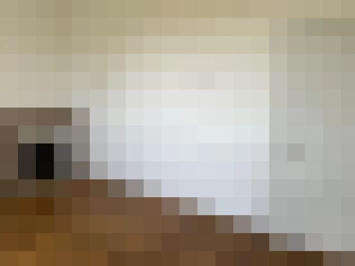  / #17