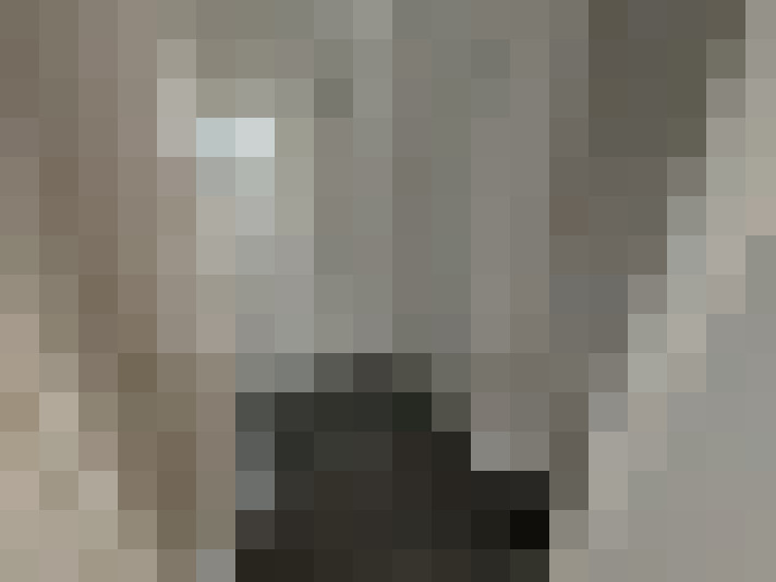  / #9