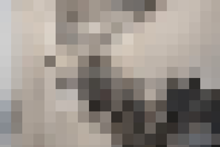  / #20