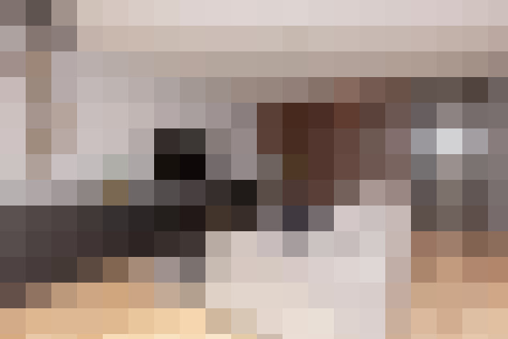  / #15