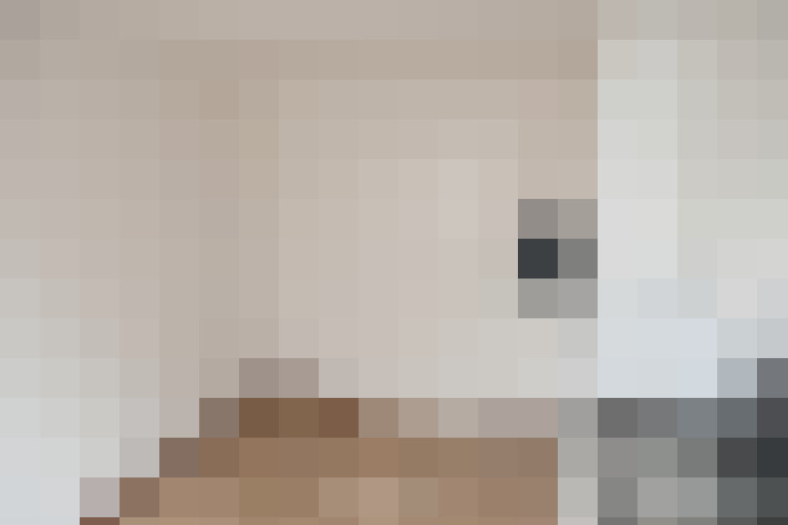 / #19