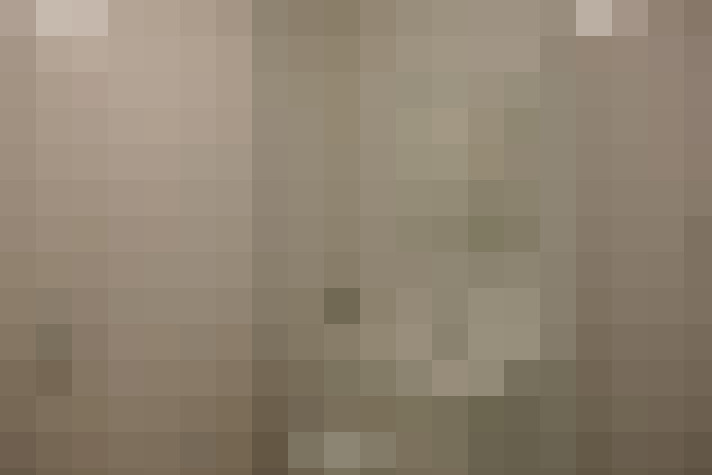  / #36