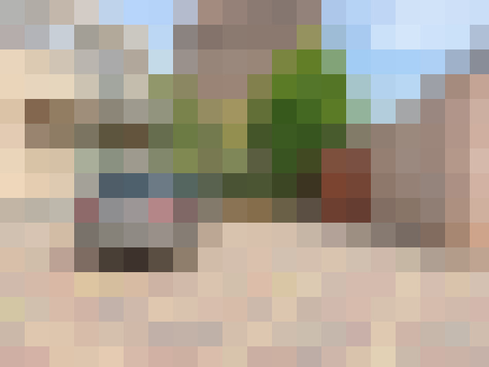  / #17