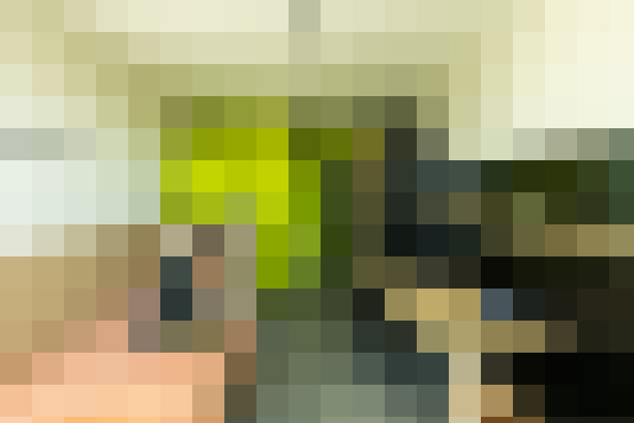  / #13