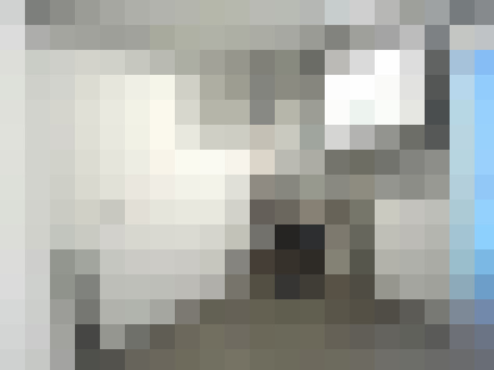  / #16