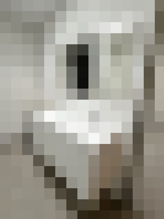  / #15